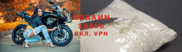 индика Баксан