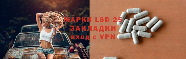 индика Баксан