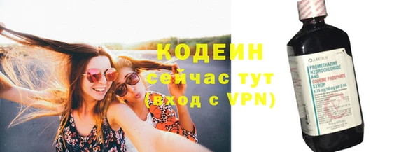индика Баксан